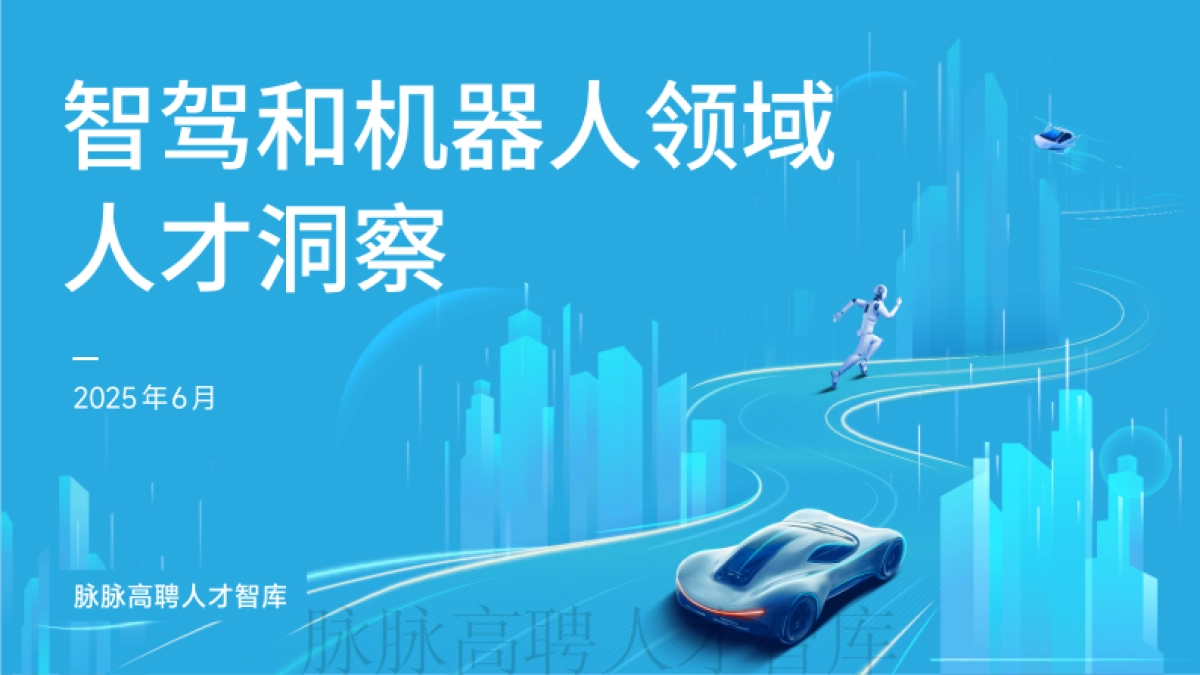 2025年智驾和机器人领域人才洞察_第1页