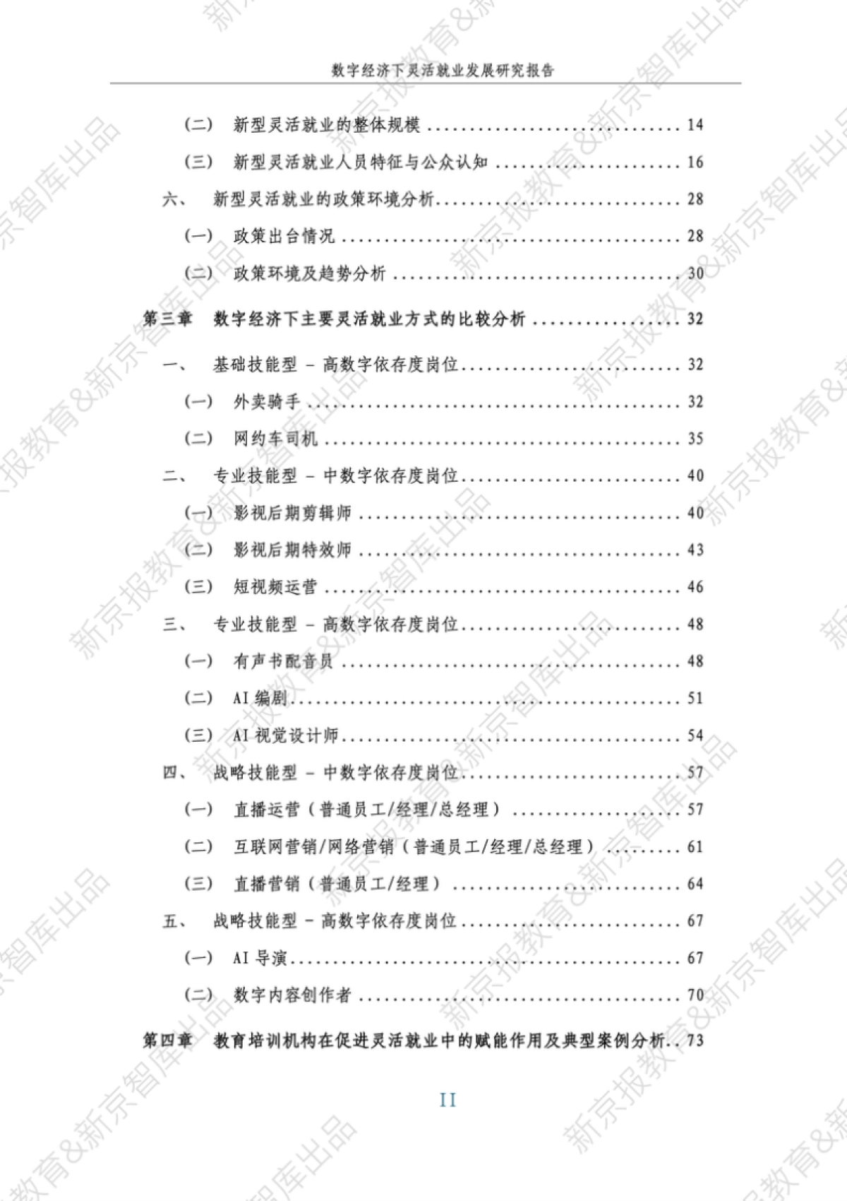 2025年数字经济下灵活就业发展研究报告_第3页