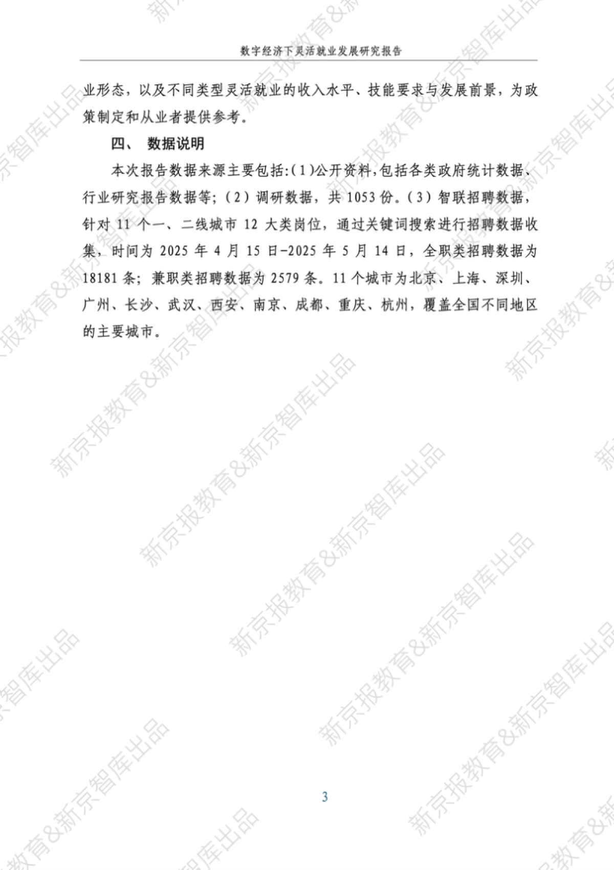 2025年数字经济下灵活就业发展研究报告_第9页