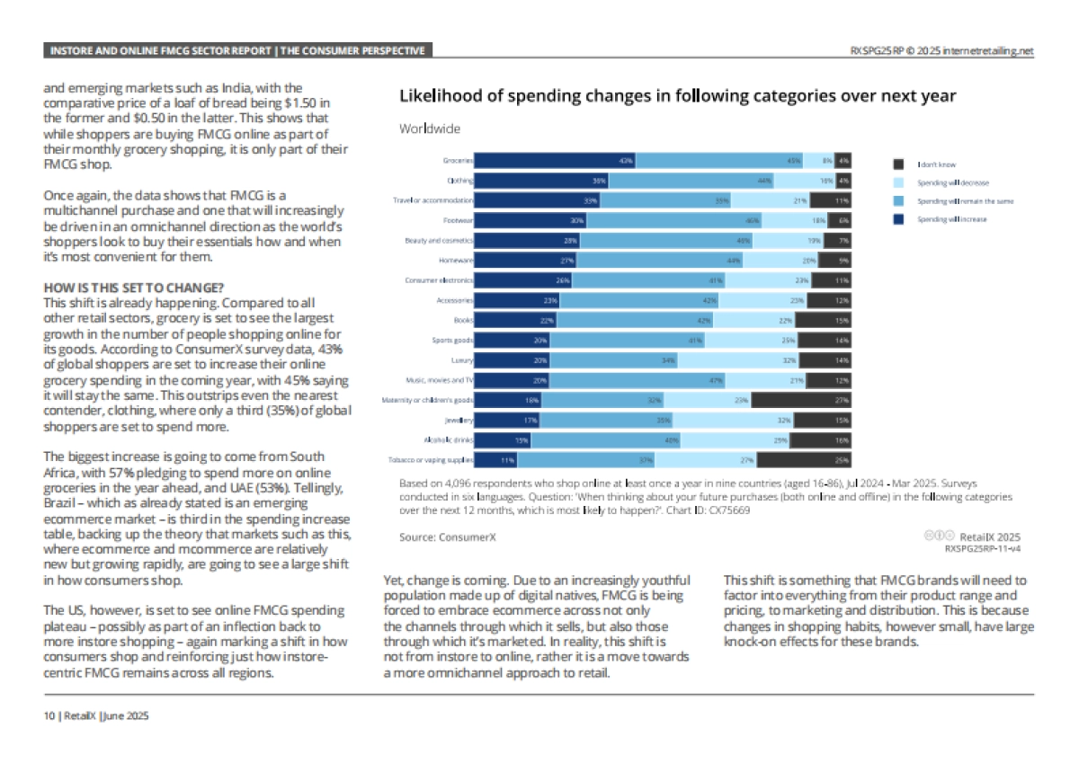 2025年全球快消品行业线下零售与线上电商研究报告（英文版）_第10页