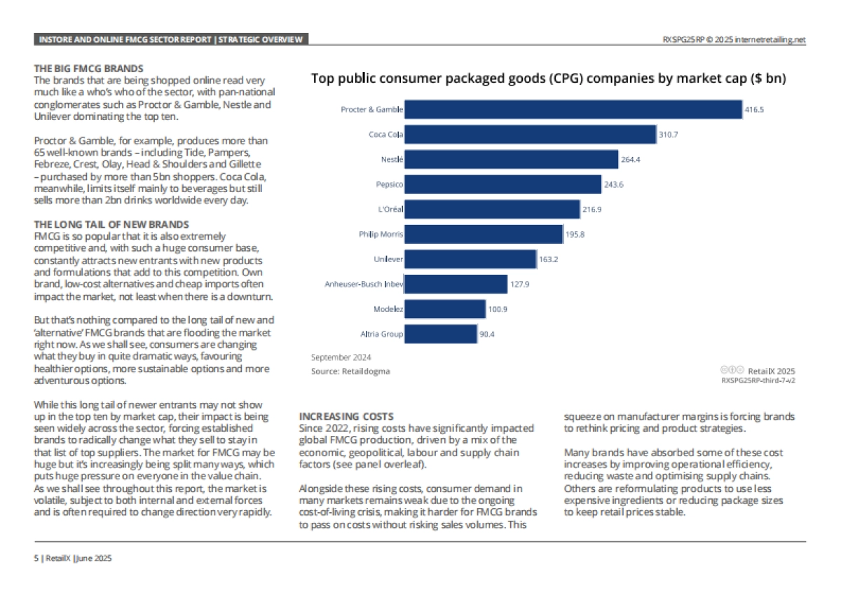 2025年全球快消品行业线下零售与线上电商研究报告（英文版）_第5页