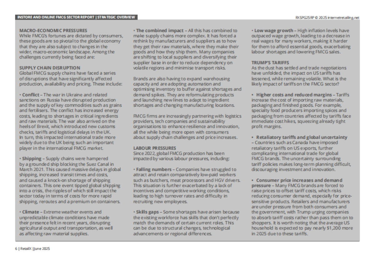 2025年全球快消品行业线下零售与线上电商研究报告（英文版）_第6页