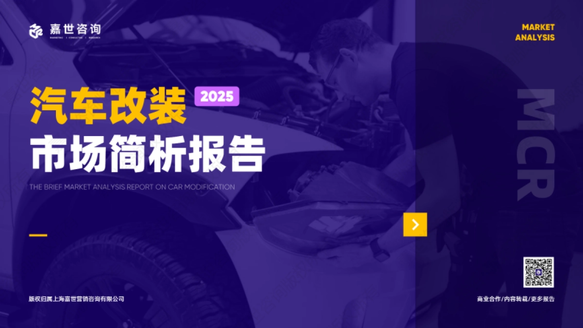 2025年汽车改装行业简析报告_第1页