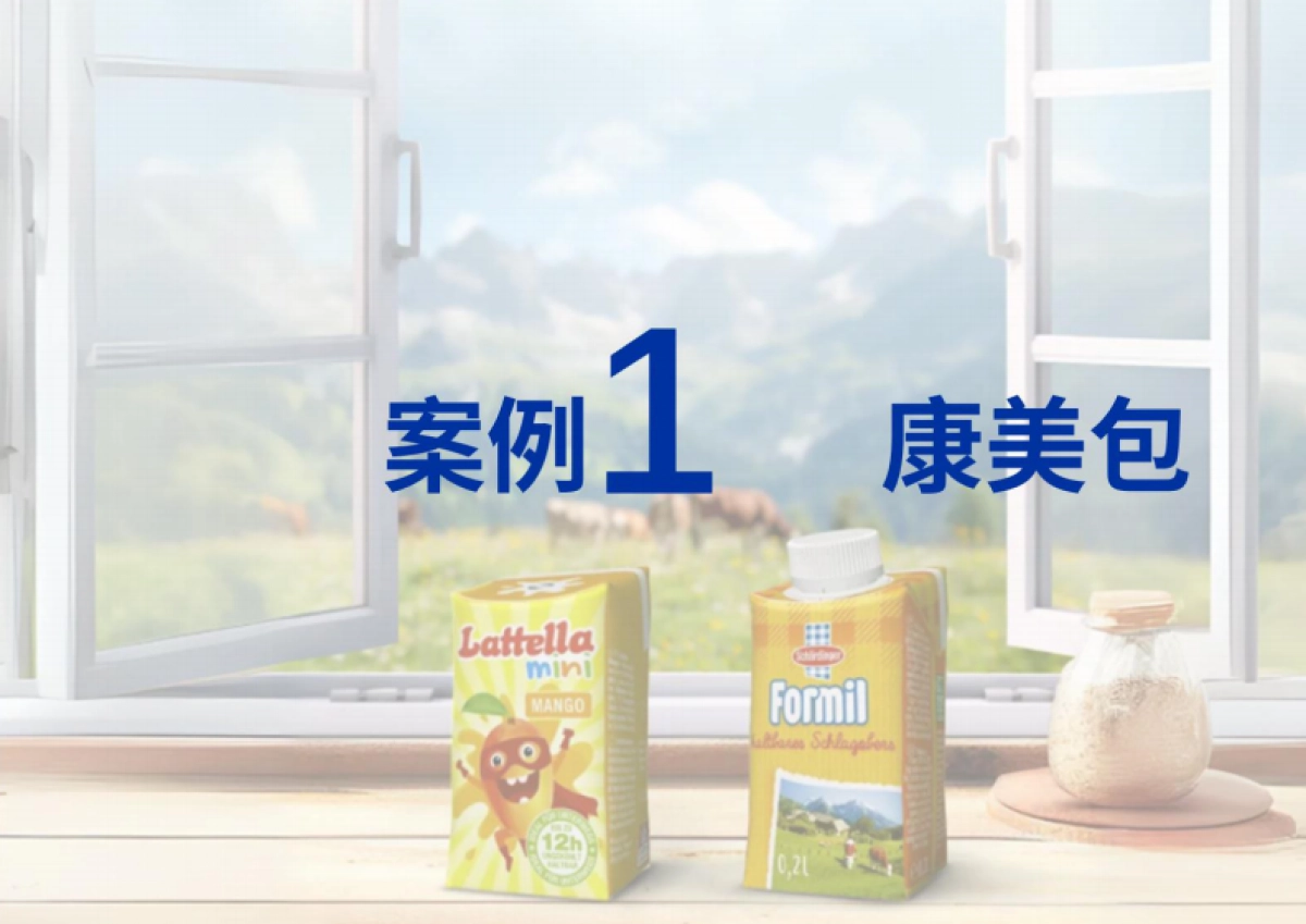 2024包装印刷行业ESG优秀实践案例_第4页