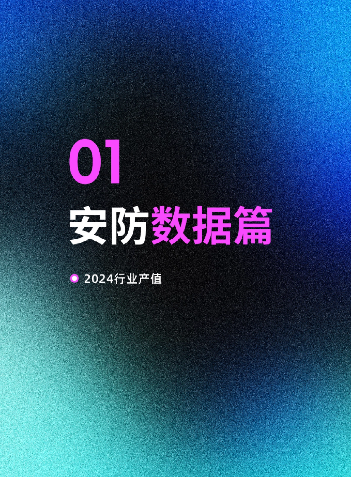 2024-2025年度中国安防行业调查报告_第4页