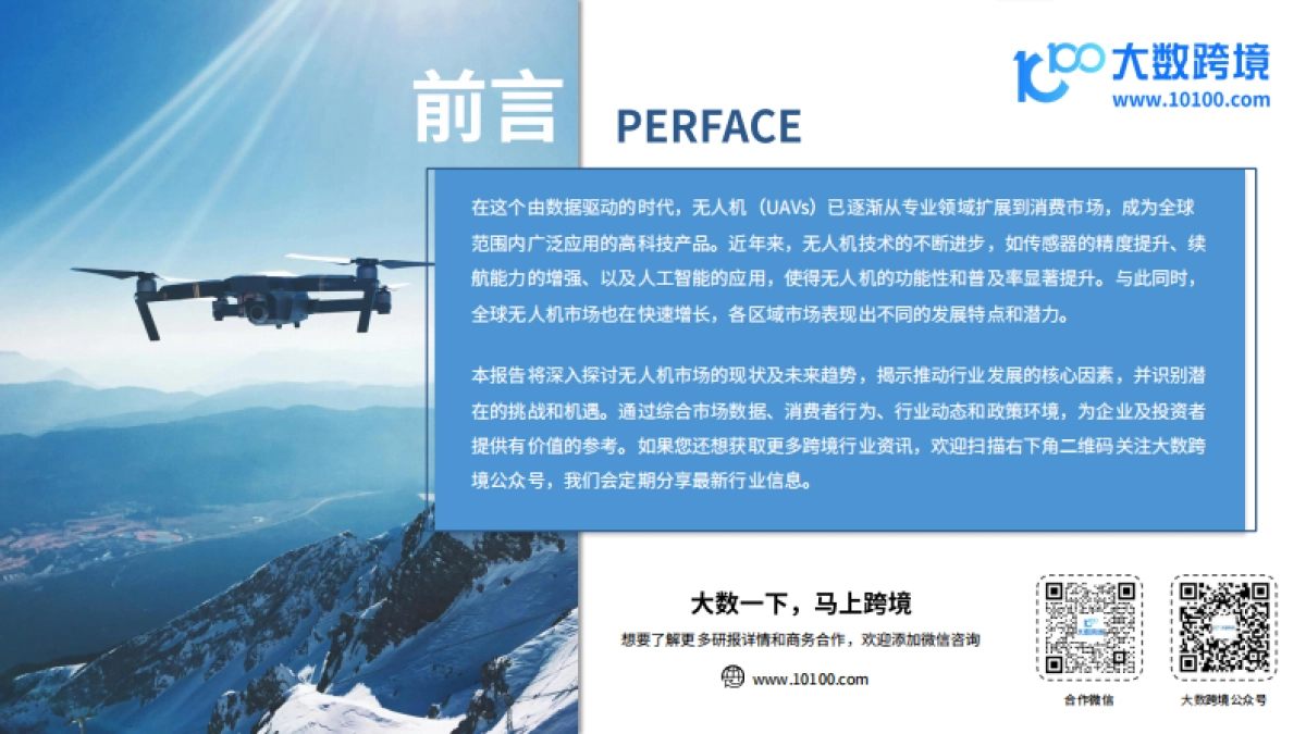 2024全球无人机市场洞察报告_第2页