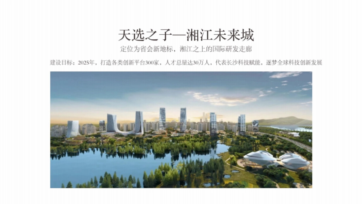 城市未来国际豪宅项目全景生活推广策略提报方案_第6页