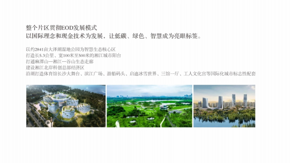 城市未来国际豪宅项目全景生活推广策略提报方案_第7页