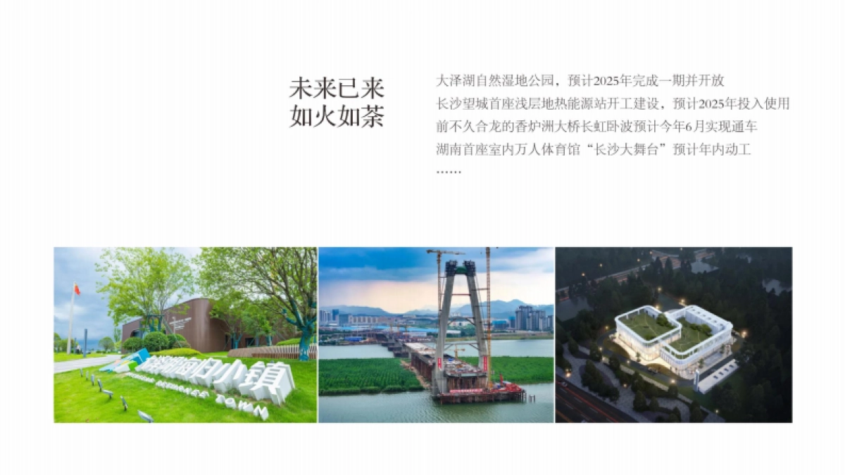 城市未来国际豪宅项目全景生活推广策略提报方案_第8页