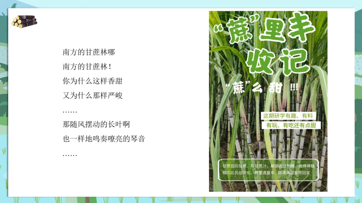 甘蔗水果采摘主题趣味生活节农业研学体验活动方案_第3页