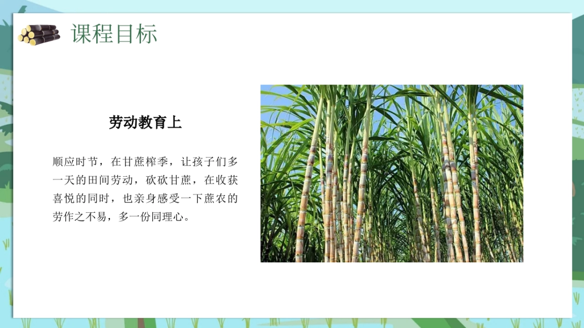 甘蔗水果采摘主题趣味生活节农业研学体验活动方案_第8页