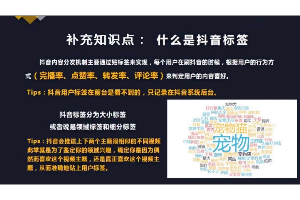 抖音完整运营玩法_第6页