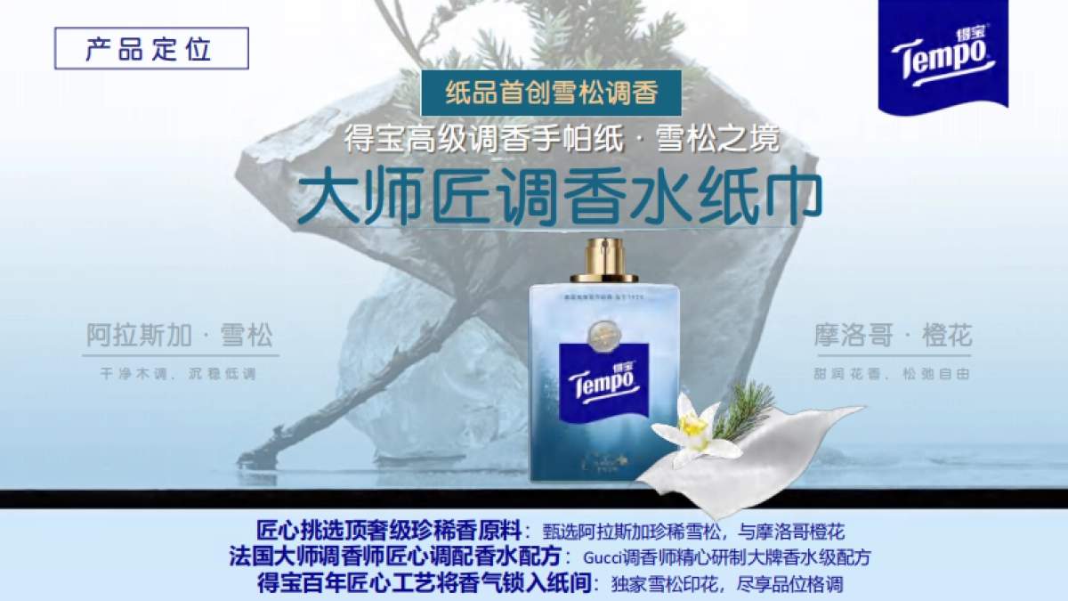 得宝纸巾寻觅雪松之境传播推广_第10页