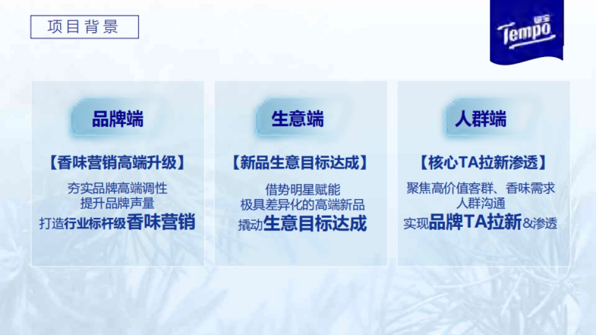 得宝纸巾寻觅雪松之境传播推广_第2页