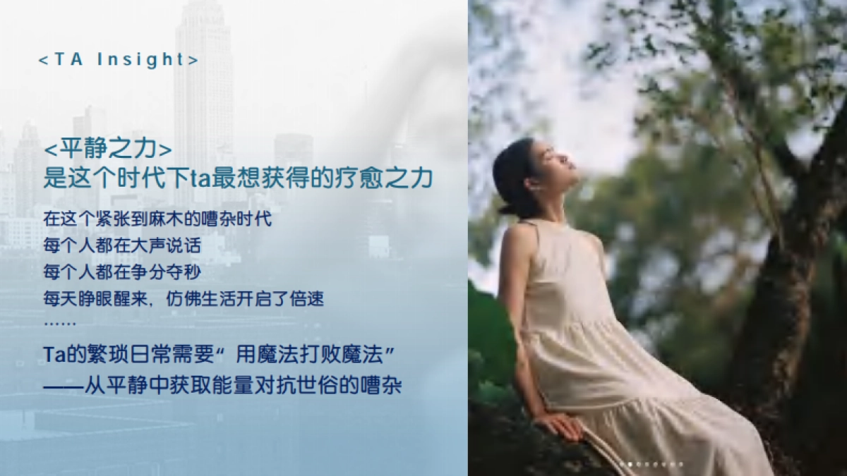 得宝纸巾寻觅雪松之境传播推广_第5页