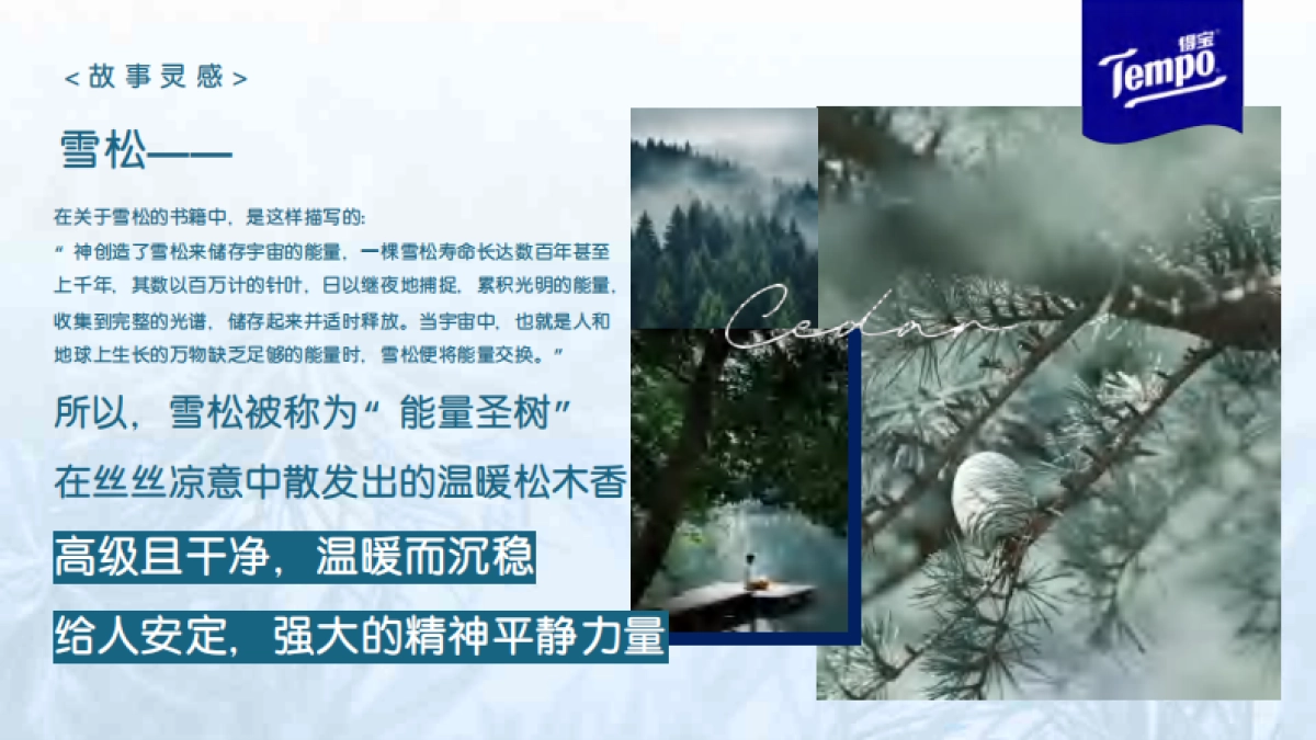 得宝纸巾寻觅雪松之境传播推广_第6页