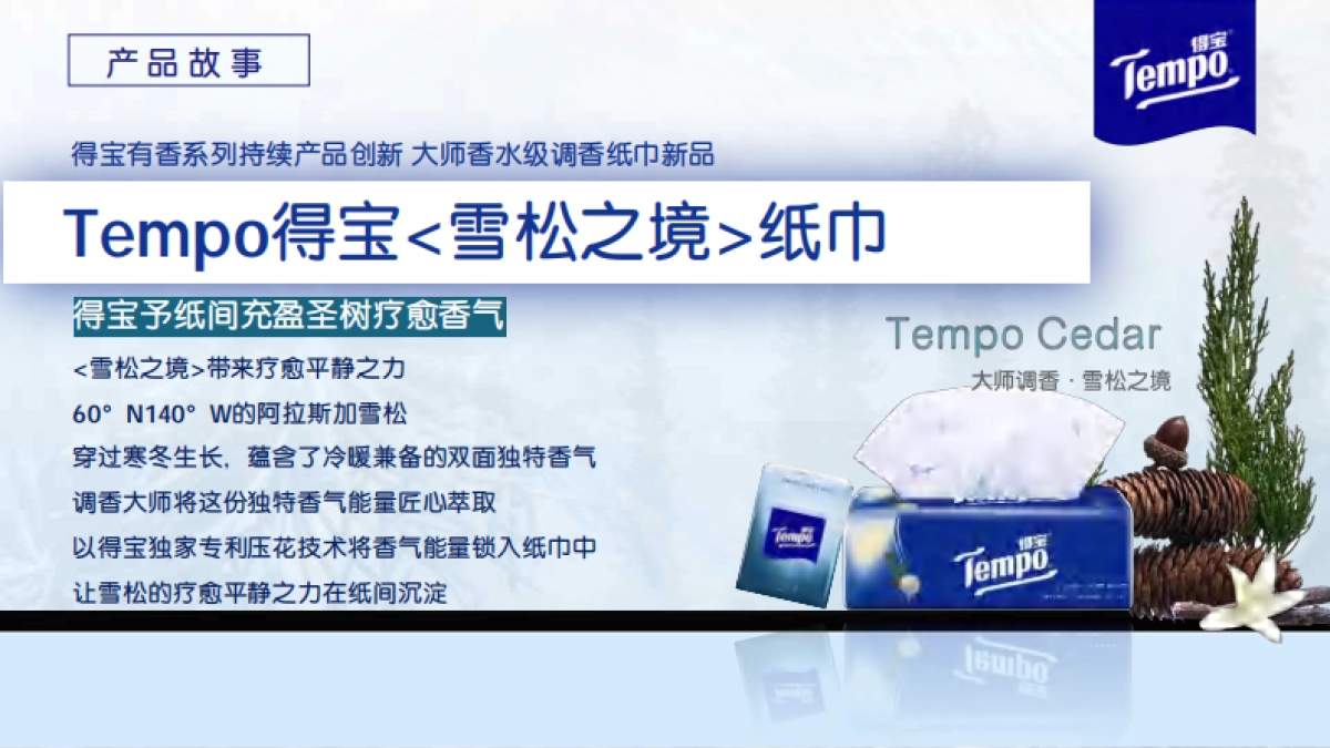 得宝纸巾寻觅雪松之境传播推广_第9页