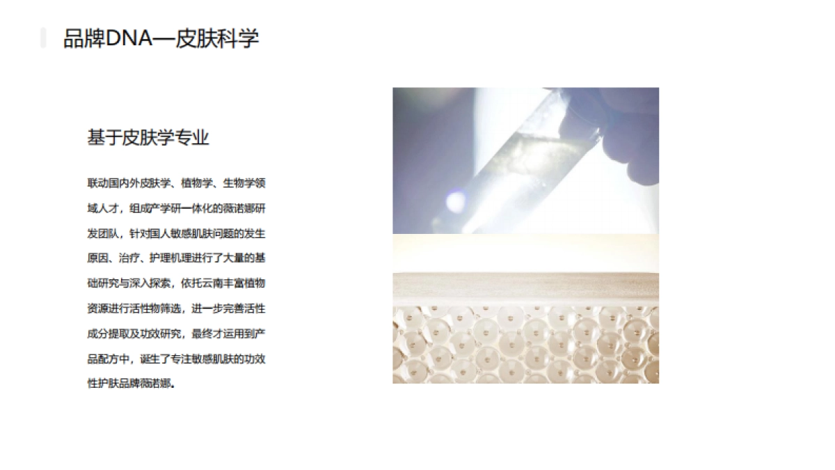 薇诺娜品牌手册_第8页