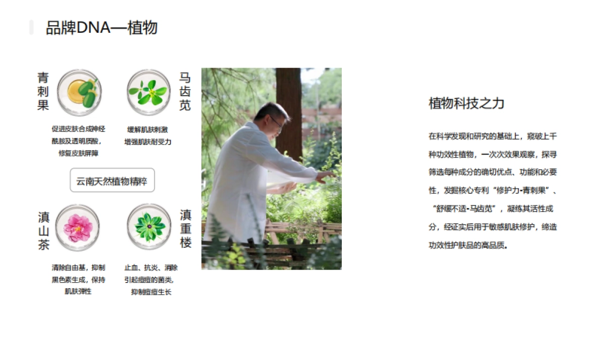 薇诺娜品牌手册_第9页