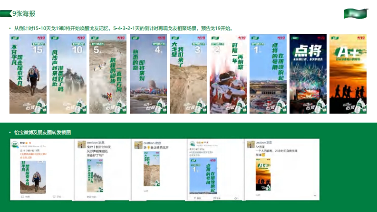 2024年华润怡宝戈19项目总结报告_第10页