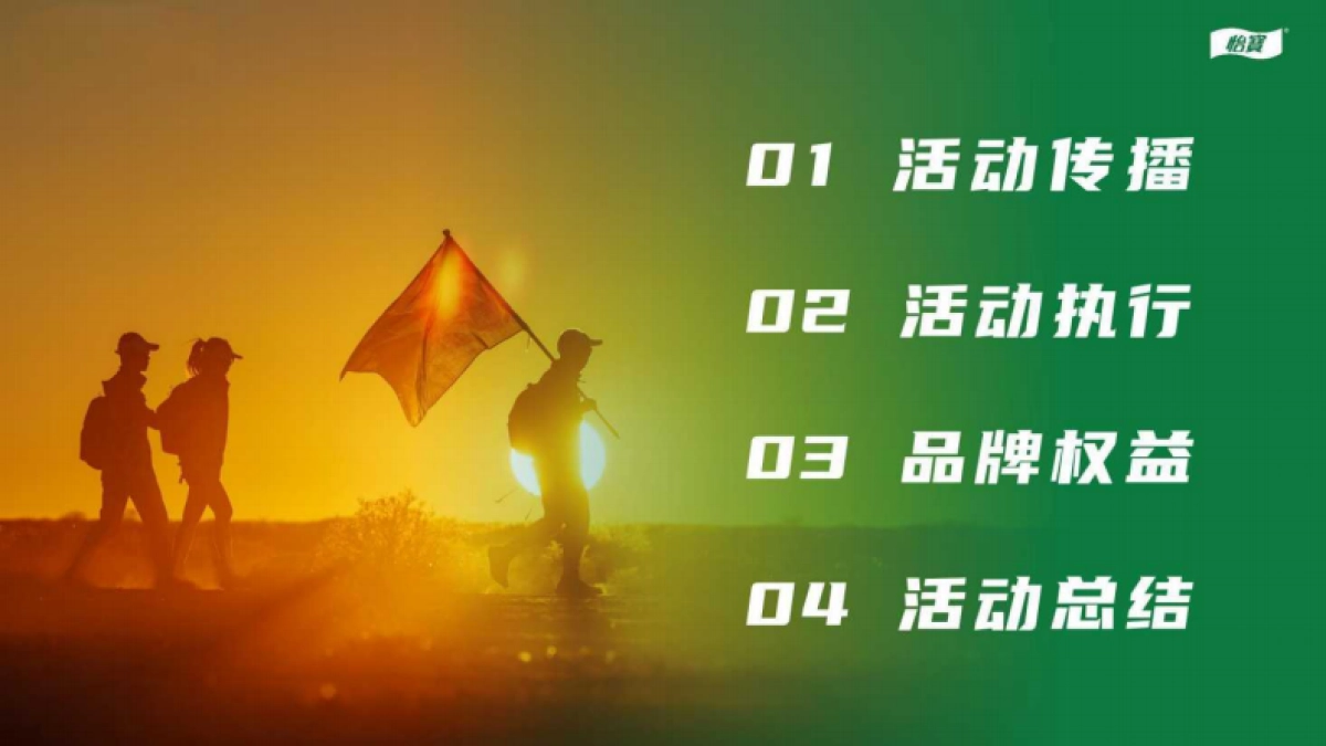 2024年华润怡宝戈19项目总结报告_第2页