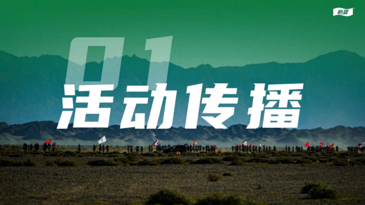 2024年华润怡宝戈19项目总结报告_第3页