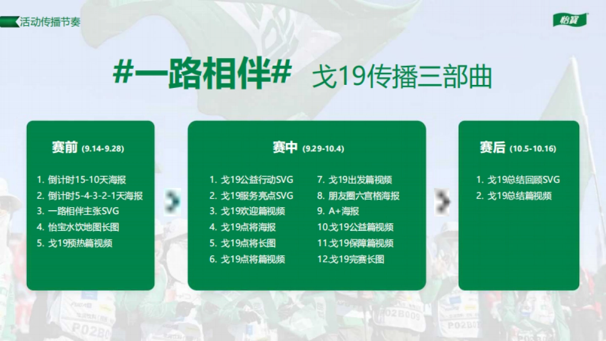 2024年华润怡宝戈19项目总结报告_第9页