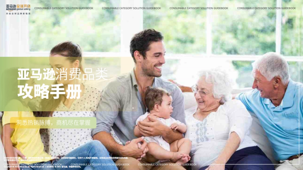 2025年亚马逊消费品类攻略手册_第1页