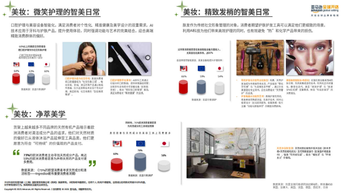 2025年亚马逊消费品类攻略手册_第10页