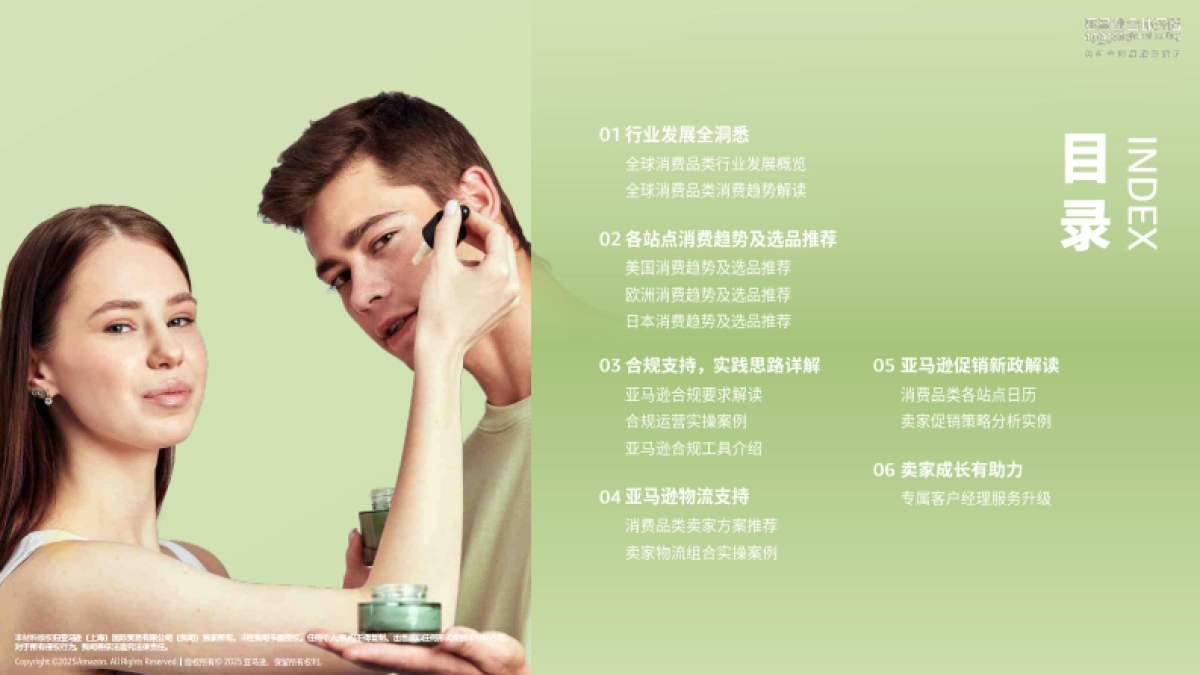 2025年亚马逊消费品类攻略手册_第2页