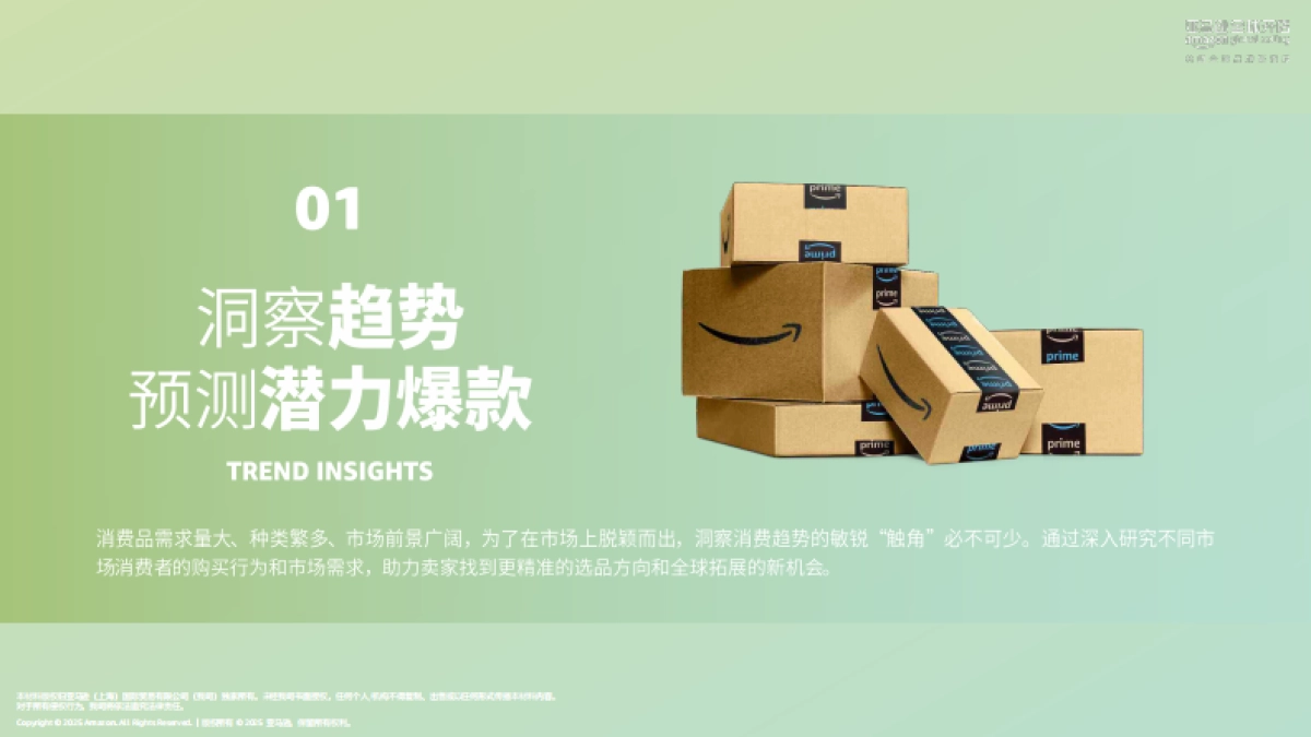 2025年亚马逊消费品类攻略手册_第3页