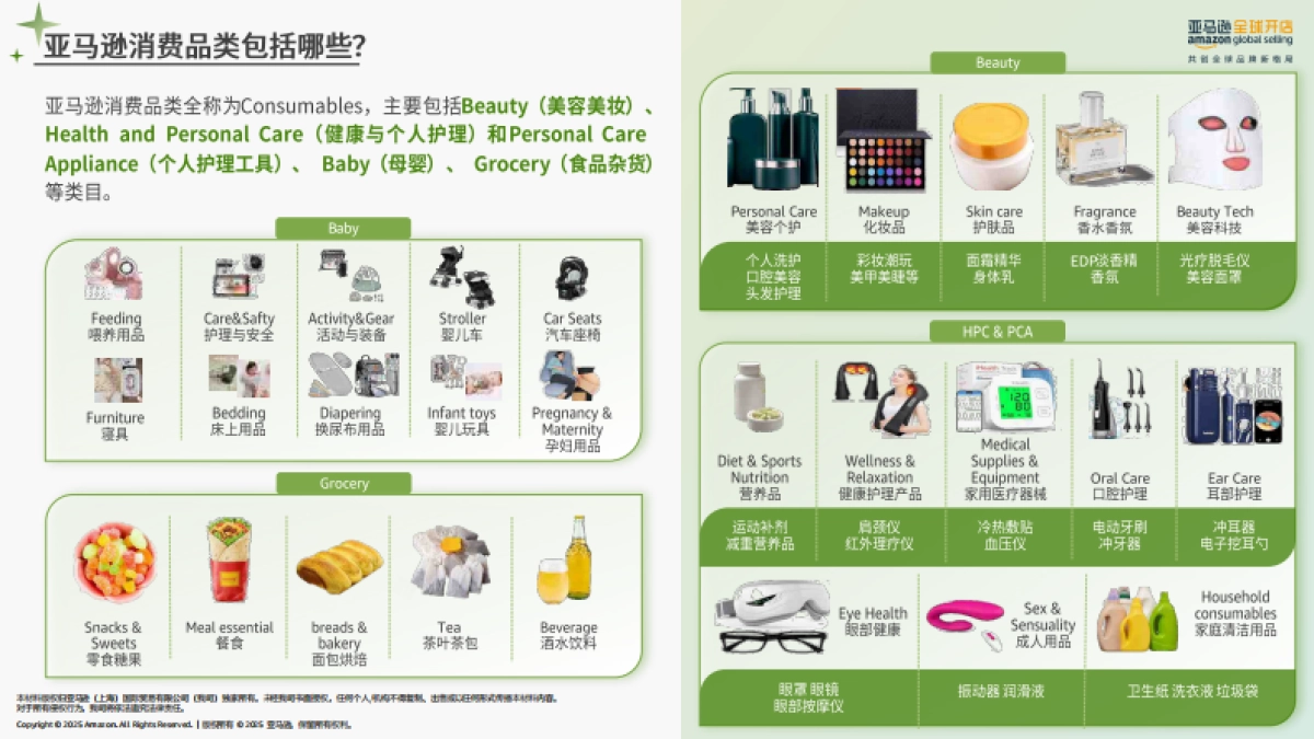 2025年亚马逊消费品类攻略手册_第4页