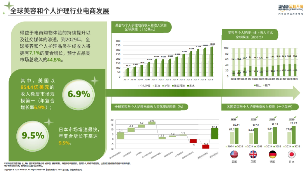 2025年亚马逊消费品类攻略手册_第6页
