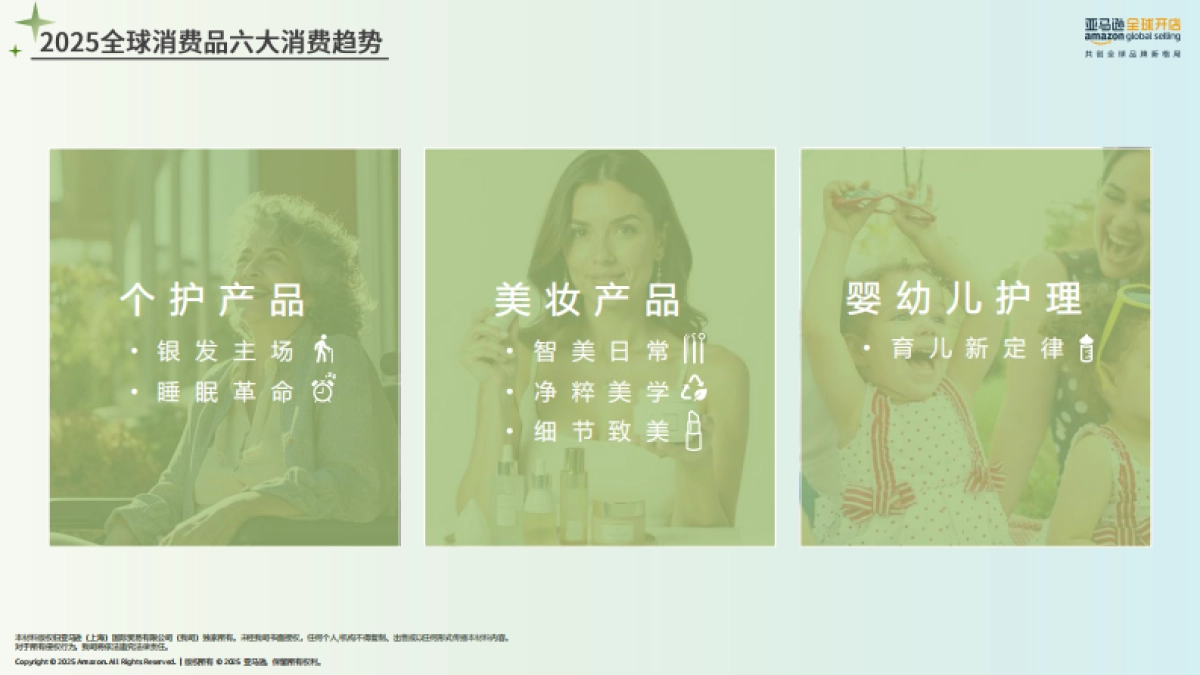 2025年亚马逊消费品类攻略手册_第7页