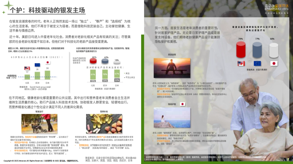 2025年亚马逊消费品类攻略手册_第8页