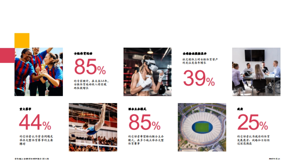 2024年全球体育行业调研报告_第4页