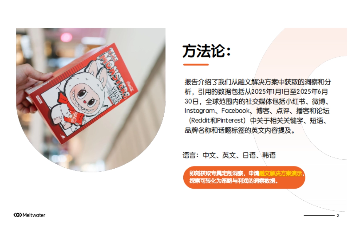 2025年从Labubu全球热潮：解码全球社媒现象级潮玩背后的消费者心理报告_第2页
