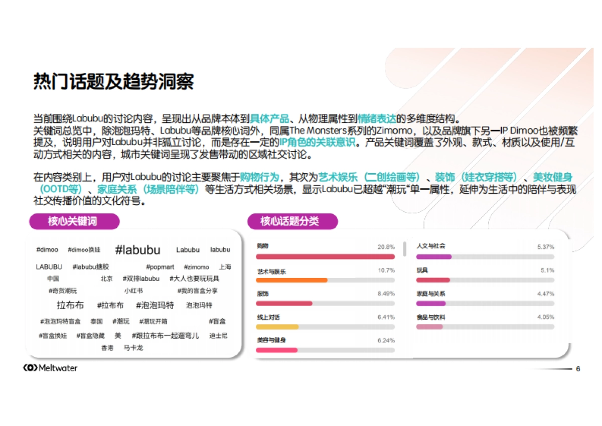 2025年从Labubu全球热潮：解码全球社媒现象级潮玩背后的消费者心理报告_第6页