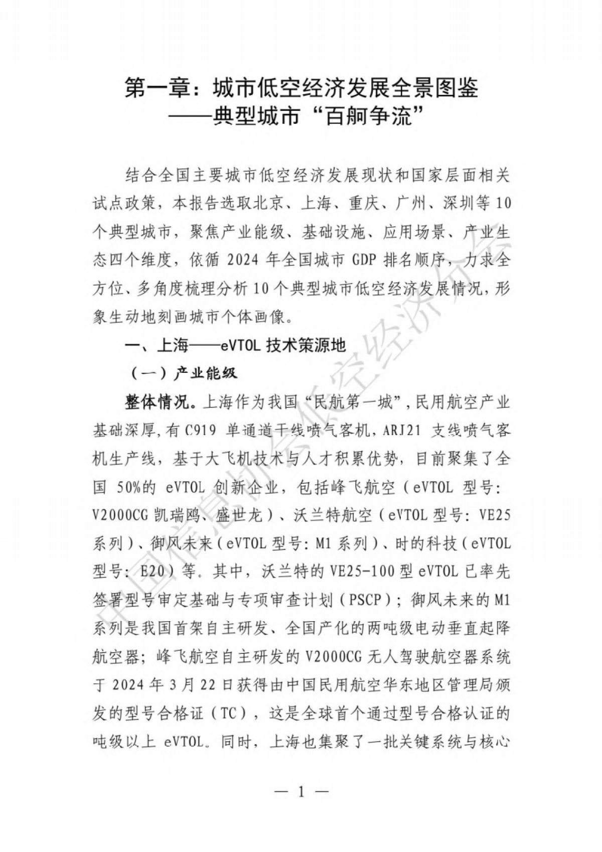 2025年低空经济城市发展全景研究报告——从典型城市低空经济发展全景图鉴到如何因地制宜发展低空经济的深度剖析_第9页