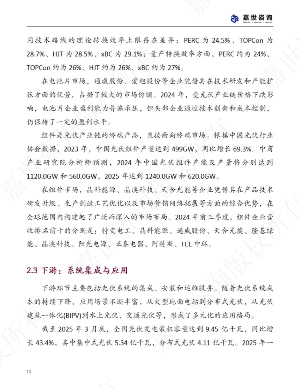 《2025中国光伏行业现状报告》_第10页