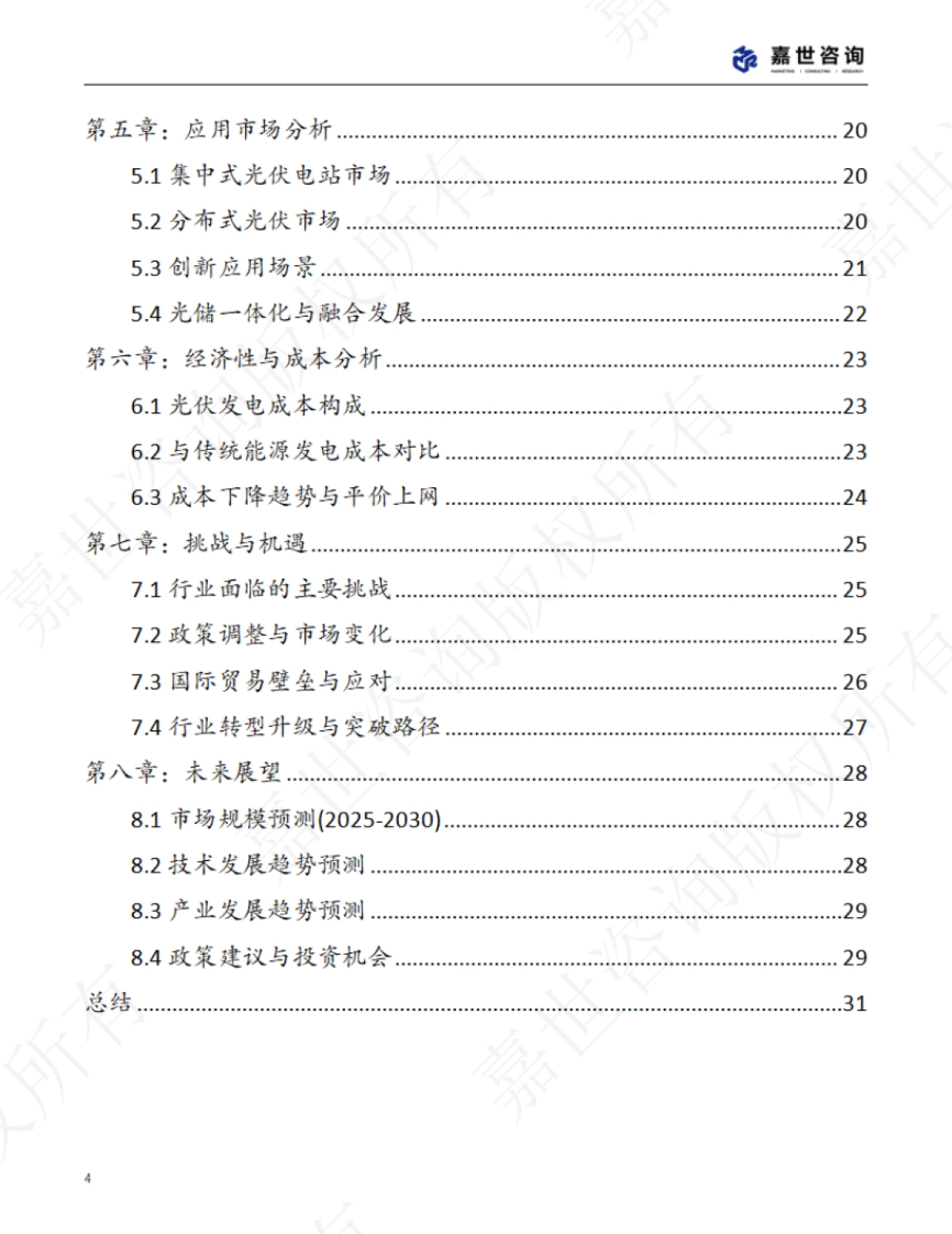 《2025中国光伏行业现状报告》_第4页