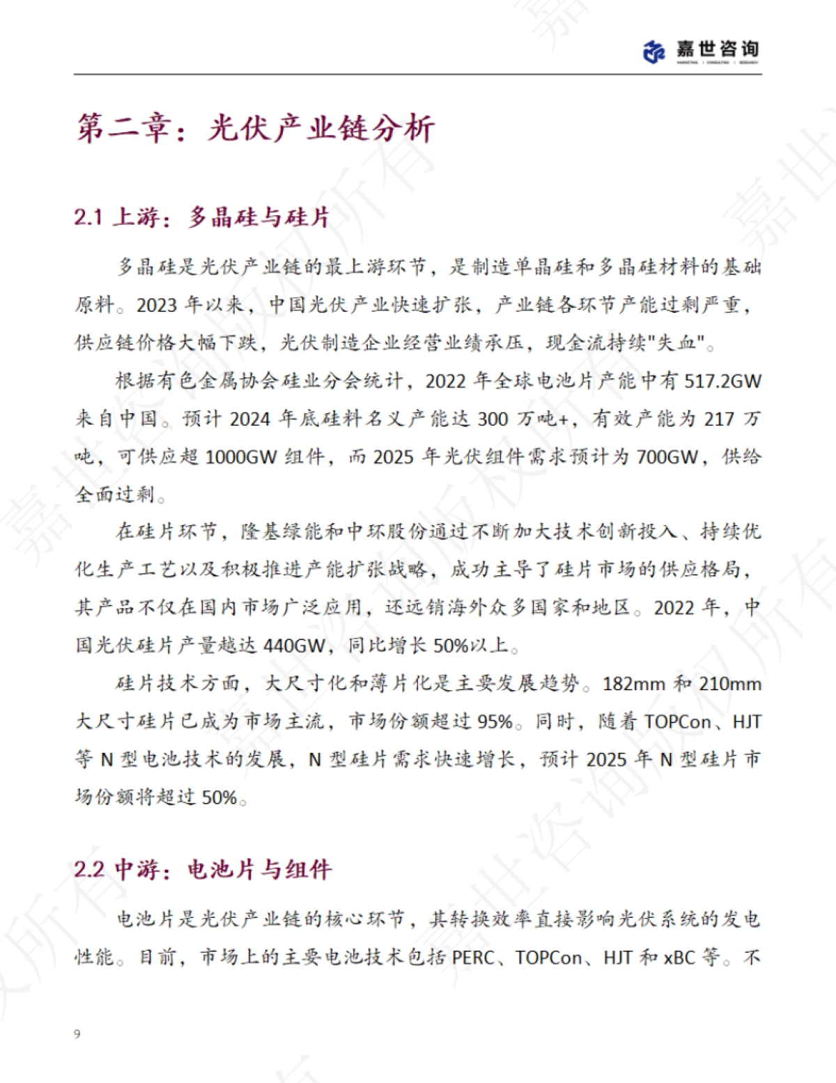 《2025中国光伏行业现状报告》_第9页