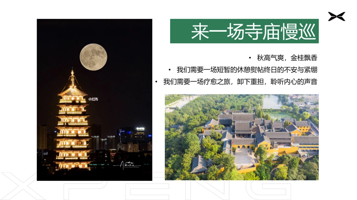 国产新能源汽车品牌-车友行家营寺庙深度游慢巡活动方案_第5页