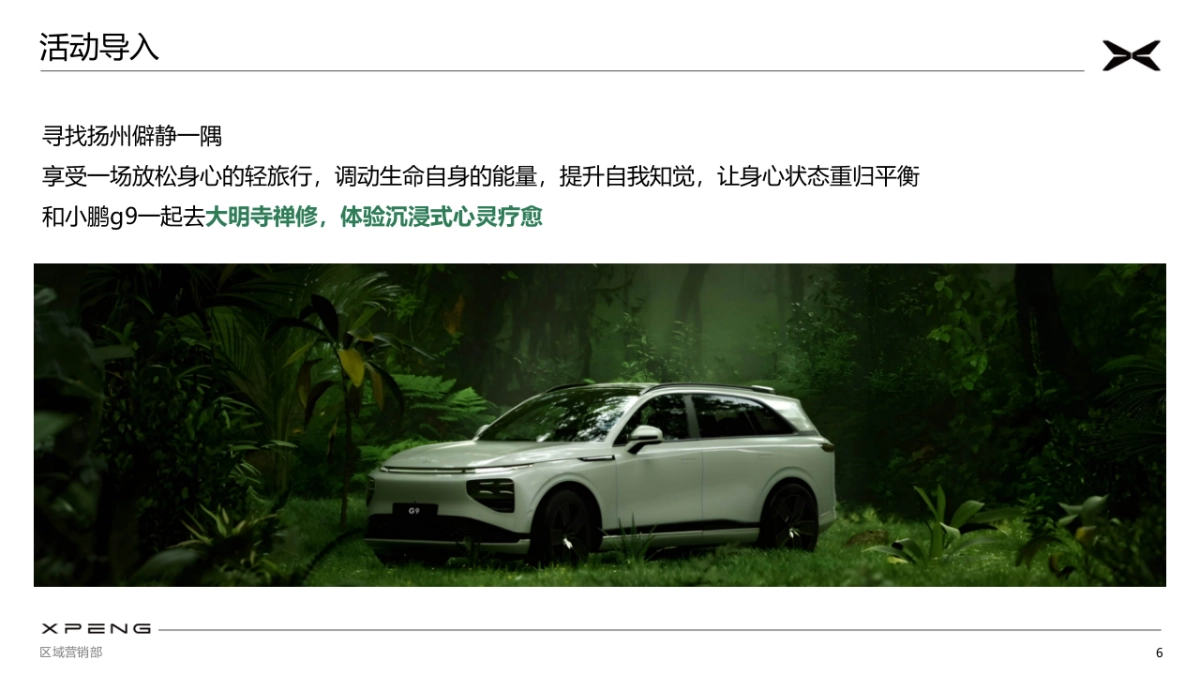 国产新能源汽车品牌-车友行家营寺庙深度游慢巡活动方案_第6页