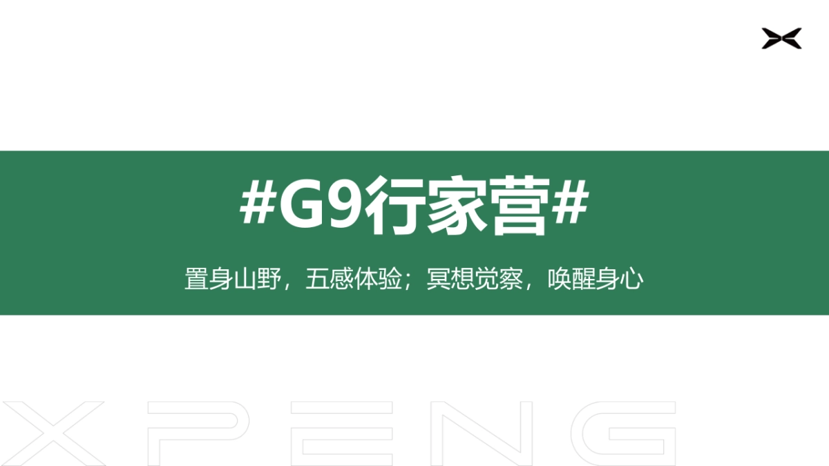 国产新能源汽车品牌-车友行家营寺庙深度游慢巡活动方案_第8页