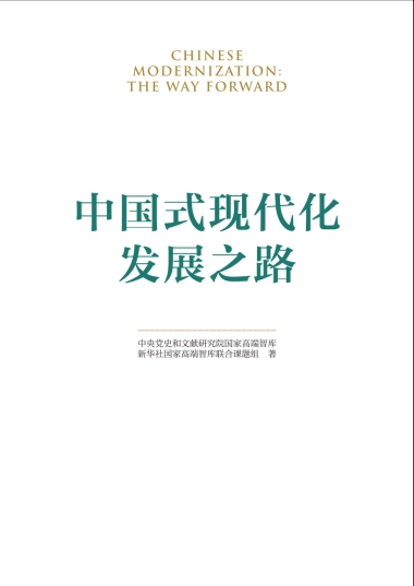 2025中国式现代化发展之路研究报告