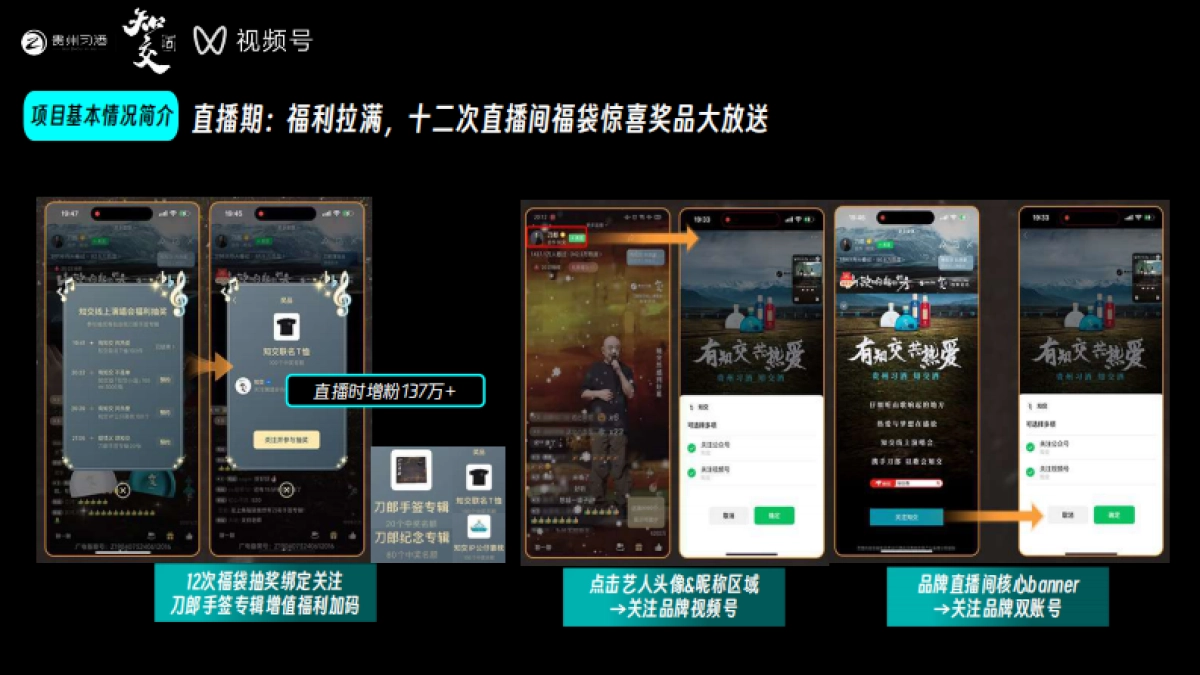 贵州习酒演唱会结案报告_第10页
