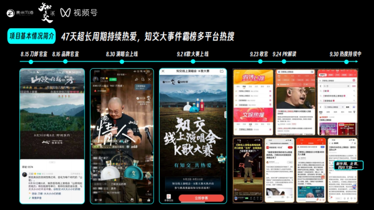 贵州习酒演唱会结案报告_第4页