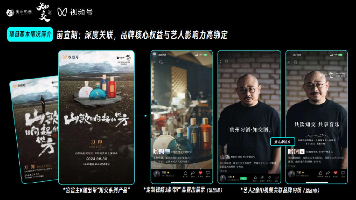 贵州习酒演唱会结案报告_第5页