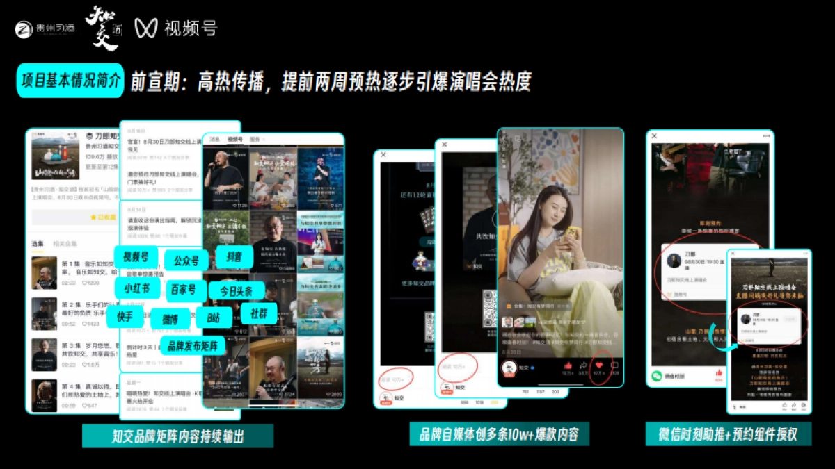 贵州习酒演唱会结案报告_第7页
